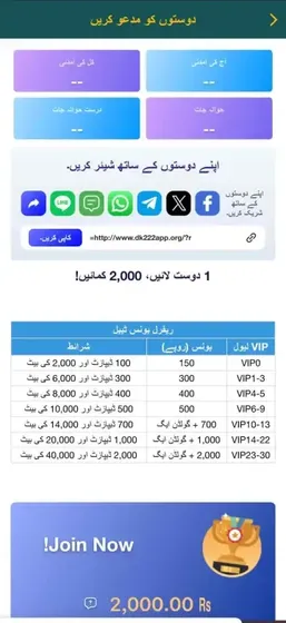 DK222 Bonus Promotions Interface